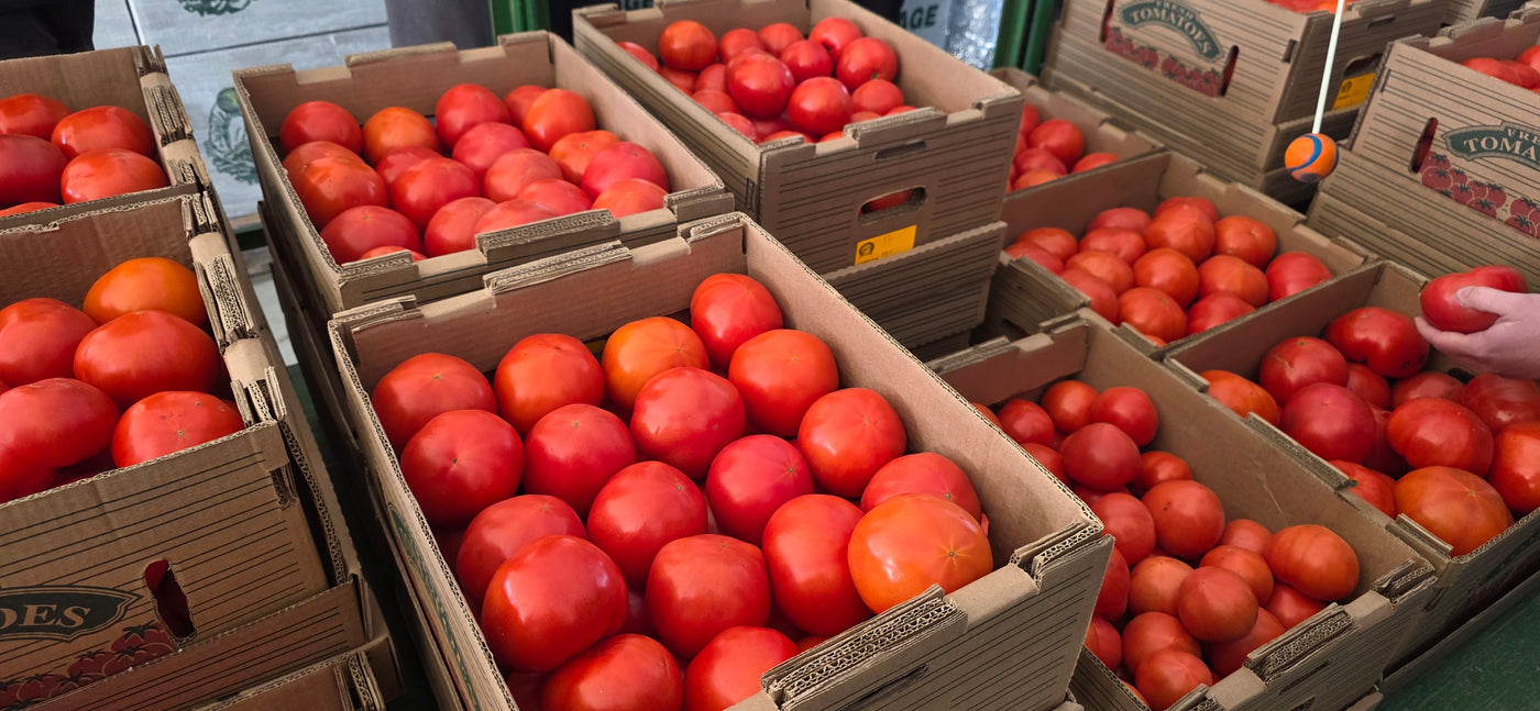 Fresh Tomatos with Flavorful Packed Vitamins