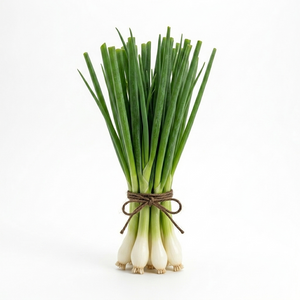 Scallions