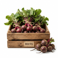 Beets