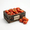 Tomato