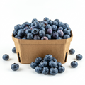 Blueberry