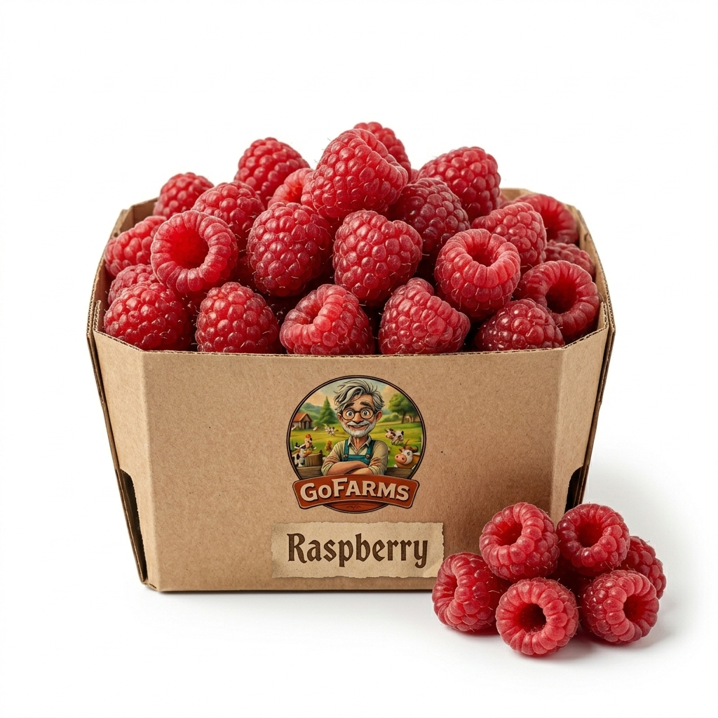 Raspberry