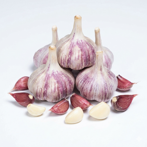 Garlic
